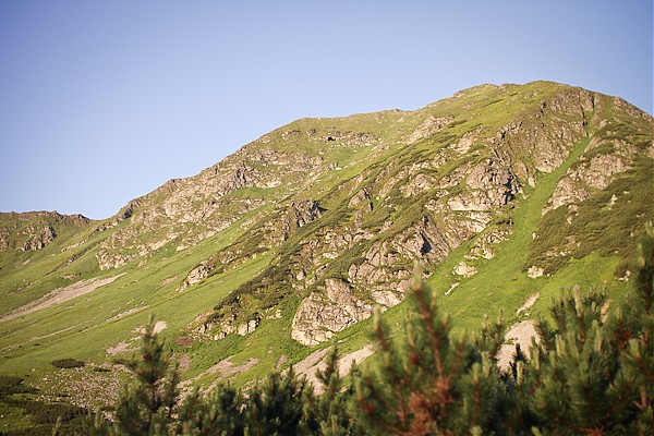 Rohacze