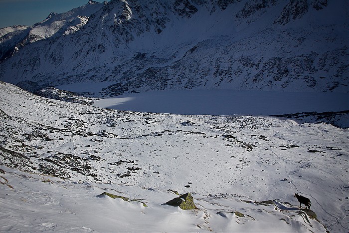 Tatry Wysokie w zimie 