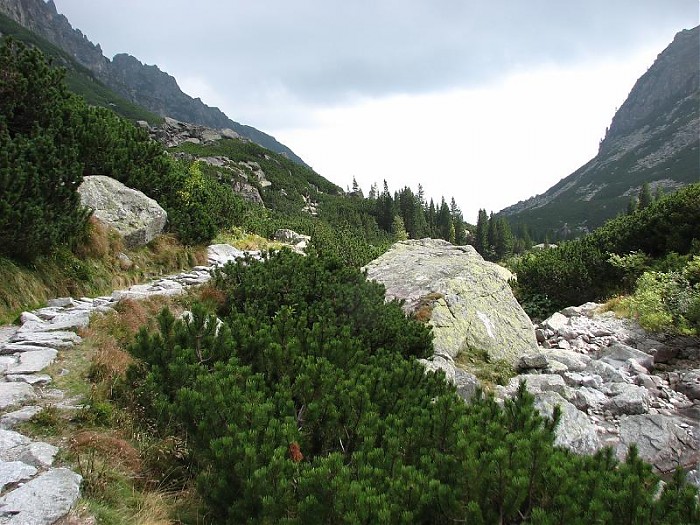 Tatry Słowackie - Vychodna Vysoka
