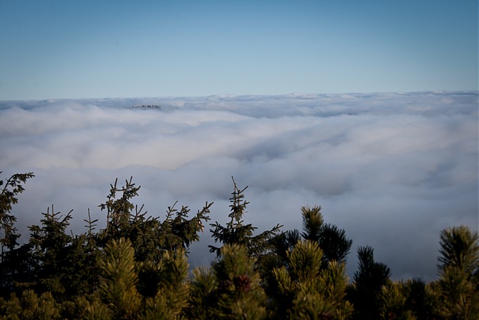 Babia 2011 - 11.11.2011