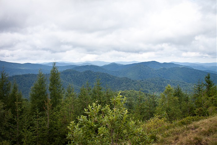 Bieszczady