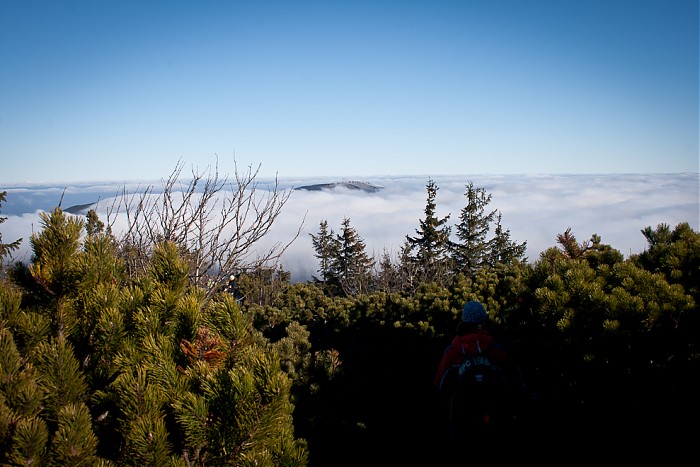 Babia 2011 - 11.11.2011