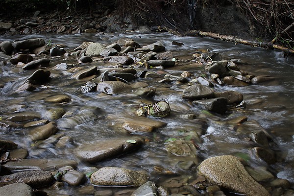 Beskid Żywiecki