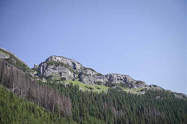 Czerwone Wierchy 