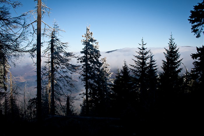 Babia 2011 - 11.11.2011