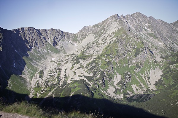 Rohacze