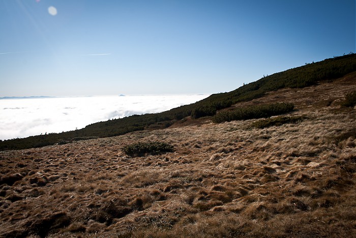 Babia 2011 - 11.11.2011