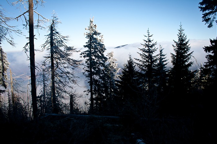 Babia 2011