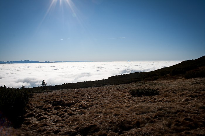 Babia 2011 - 11.11.2011