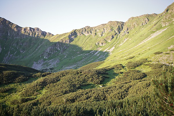 Rohacze