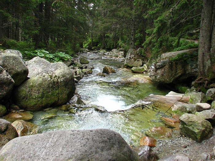 Tatry Słowackie - Vychodna Vysoka