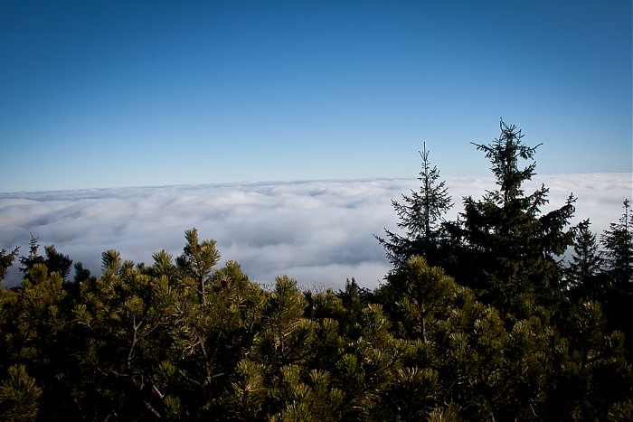 Babia 2011 - 11.11.2011