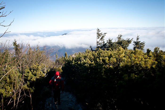 Babia 2011 - 11.11.2011