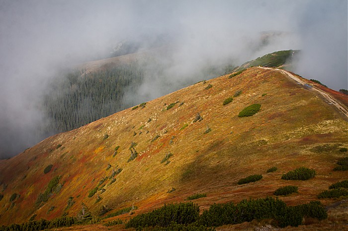 Tatry zachodnie 